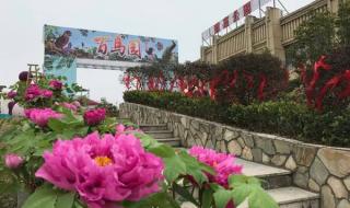 农历3月3日是什么节日