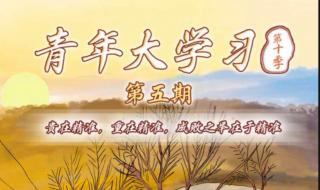 青年大学习第22期答案