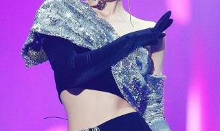 jennie演唱会故意张腿