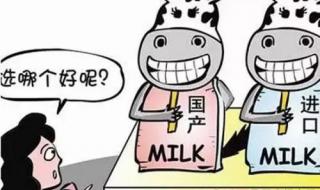 容易吸收的奶粉有哪些