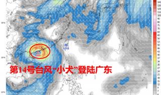 今年14号台风最新消息