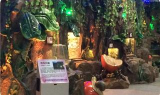 上海大自然野生昆虫馆